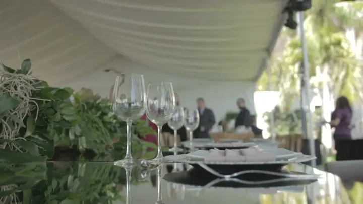 An evening together — stock footage poster